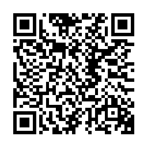 拜仁慕尼黑结束了他们在温暖的马洛卡岛的集训丨回到了慕尼黑二维码生成