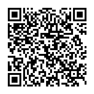 拥有强大战斗能力的异形几乎完全挡住了从楚旬两侧和身后冲来的敌人二维码生成