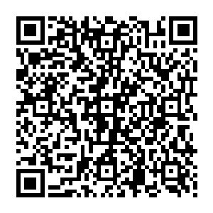 拥有赫拉迪姆之笛的人可以在一定程度上操控这无尽海域和科基斯坦丛林中的力量二维码生成
