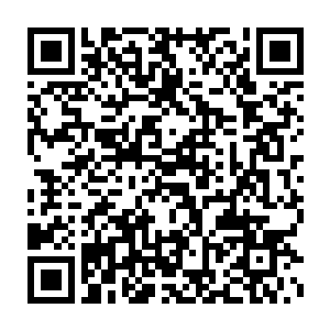 拥有这种体制的人去水属性能量充裕的地方修炼效果的确会强上很多二维码生成