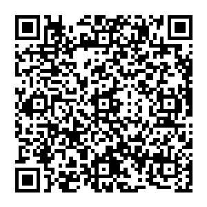 拼了 小东西 这可是你说的啊 两块极品灵石 若是到时候你拿不出來的话 我就将你给吃了 二维码生成