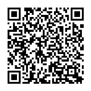 拿在手中等候训练结束之后让喜欢的球员签名的卡片和笔也不知何时掉到了地上二维码生成