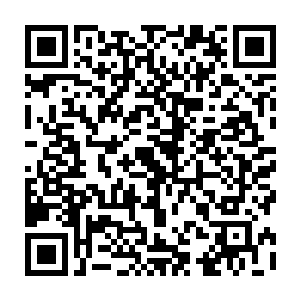 拿着他的刀叉耐心地给小家伙将那块他眼中无比坚韧的牛排切成了一小块一小块二维码生成