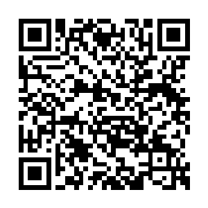 拿着再好的刀棍也跟过家家似的叮叮当当敲着玩二维码生成