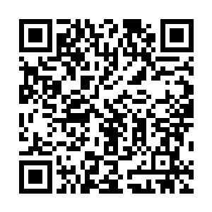拿起放在柜子上护士查房时用的记录册和圆柱笔递了过去二维码生成
