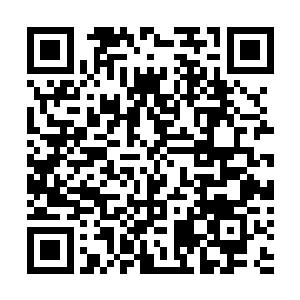 挂在房梁上面的白绫在药香铺昏暗的灯光下轻轻的飞舞着二维码生成