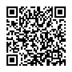 指不定你心里还真觉得自己是屈服于我的淫威才不得不从的吧二维码生成