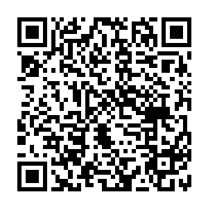 指不定就有点大白鲨之类的凶残野兽袭来……他们在陆地上或许可以生擒虎豹二维码生成