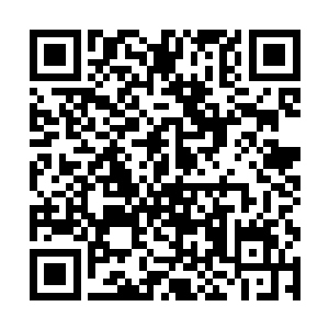 指着血池之内漂浮在血池表面的那二百个蛇头般藤条二维码生成