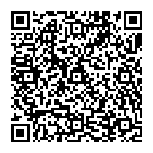 按照周书记的说法每年10个亿的基础设施建设投资投资对于30个亿的社会固定资产总投资肯定是有点儿骇人的二维码生成