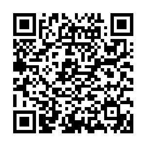 按照燕山魂在里面行走的台阶数量恐怕已经过去了数万年了吧二维码生成