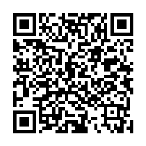 按照现在的情况持续下去你们手中的钦天神宝迟早是他的二维码生成