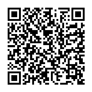 按照现在的进度我估计到了热火界你就差不多可以进行第二次进化了二维码生成