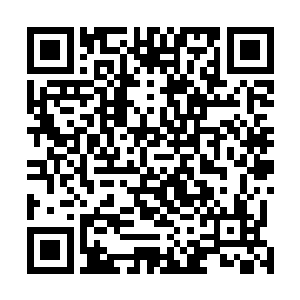 按理说以他们的修为不可能是从百族时代活到如今的人物二维码生成