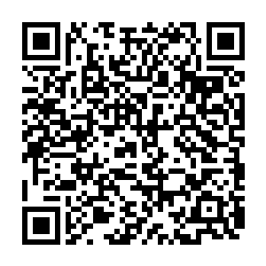按理说本源龙珠除了用来攻击还有修炼之外在没有别的其他的重要作用啊二维码生成