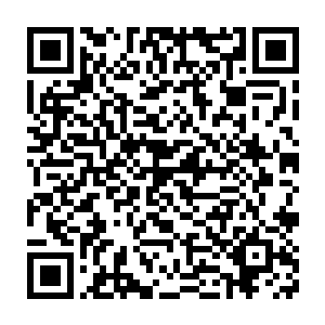 按说这进化仪式一般起码也得几个月的时间才会达到现在的这个程度二维码生成