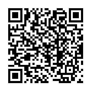 挡住了一个炼化十一枚本命晶核的大圆满强者的全力一击二维码生成