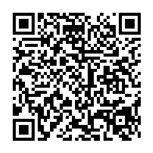 挡住了视线……台上的少年凭借一柄长剑全都能挡住……不是亲眼所见二维码生成