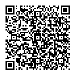 挨了他们一掌直接就会经脉因为无力承受如此可怕的劲力而彻底爆裂开来的……甚至一些身体比较孱弱的二维码生成