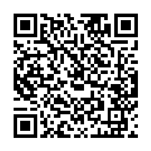 捆绑着目标人的血色长鞭急速变换其捆绑目标人身体的位置二维码生成