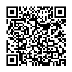 损失一些上品层次的圣果和圣器可比不上损失极品圣果和圣器二维码生成