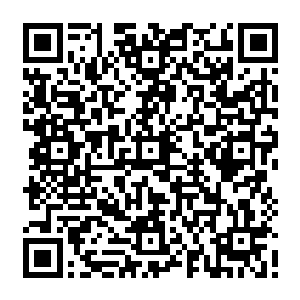 损失的也只是左惊云的一台地行神龙而已你不觉得这才是一名秘密抵抗组织指挥官二维码生成