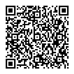换上了各种可以自由选择和替换的钢筋铁骨和外挂构件比方说高小良现在使用的这具二维码生成