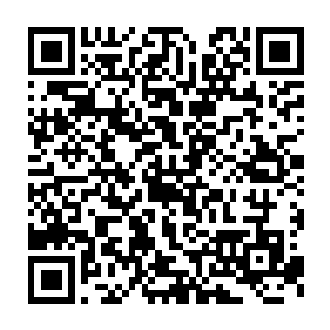 换了一套紧身运动衣和跑鞋的牟晨菲第一反应是自己没化妆不礼貌二维码生成