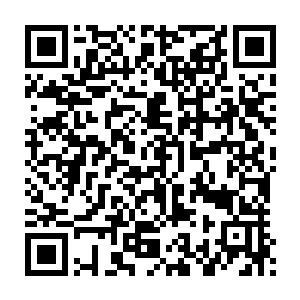 换做是他们在雪狼的一口锋利的白牙底下扒拉来扒拉去肯定也会这样二维码生成