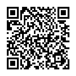 据传是瑶池派先祖以一根先天蟠桃树的枝桠炼制而成的法宝二维码生成