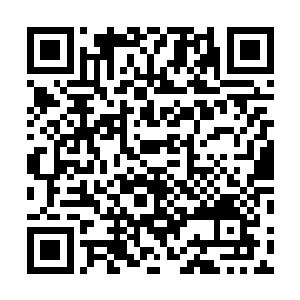 据说东京代表团那边也是扬言要在武术比赛上与自己一战二维码生成