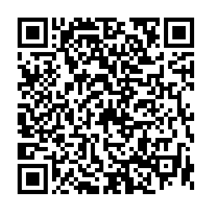 据说之前皇上在宠幸王昭容的时候无意中提过一句关于王妃子嗣的问题二维码生成