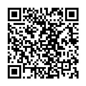据说他们正在扶植费舍尔的弟弟成为安莫尔行省的最高执政官二维码生成