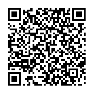 据说在常委会上仍然有一位副书记对陆为民的任职问题不依不饶提出质疑二维码生成