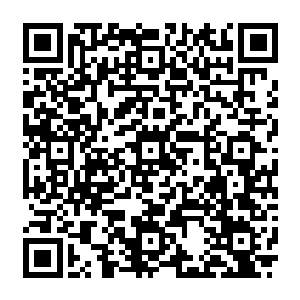 据说安书记和林主任屁股下边的新座驾就是来自于县里那个负责卖猕猴桃的农业开发公司二维码生成