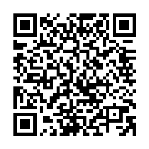 据说暗中带领粉丝拼得弹尽粮绝还被赶下了排行榜冠军的宝座二维码生成