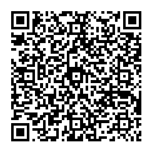 据说有好事者把从去年10月到今年春节前两位主要领导在各种会议上提到这个观点的次数统计了一下二维码生成