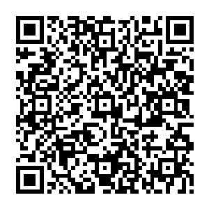 据说海华书记和登江省长都提及了南潭利用亚运会契机打响生态猕猴桃这张牌的事例二维码生成