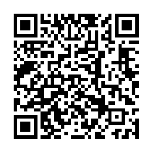 据说王林连留下战武修炼方法的机会都没有就死了二维码生成