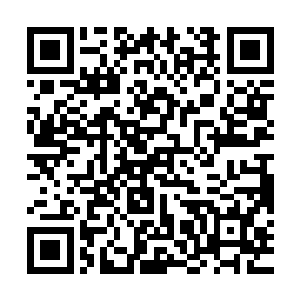 据说精通心灵修持的人族可以历经多世轮回的体验而不出现迷乱二维码生成