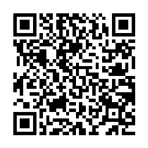 据说罗兰加洛斯大学也抓住这个机会给每个人都安排了一次演讲二维码生成