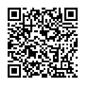 据说这一次慈善会是一位叫陈光表的大老板举办的……q二维码生成