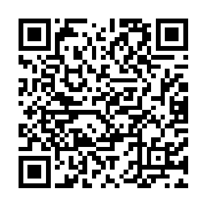 据说这两个国家政府都派出了商务代表团参加此次经济峰会二维码生成
