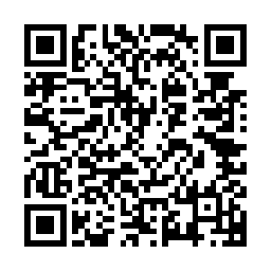 据说这个玲珑仙塔上上古时期某一飞升修士从上届传送到下届的二维码生成
