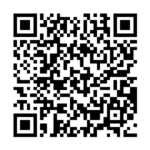 据说这只巨兽的体内完全是由一种他们未知的能量构成二维码生成