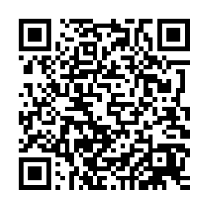 据飞章这位在有角人城市和骨器师身边生活多年的低级骨器师说二维码生成