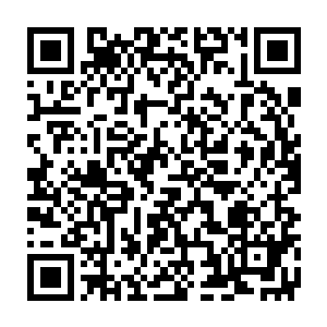 据龙傲天的估计火灵儿现在的经脉已经有了中位神修炼者的强度了二维码生成