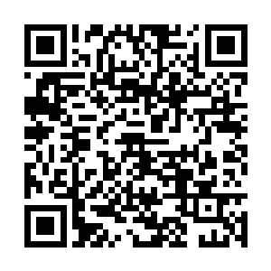 掌握的其实也不过是玄武战甲的初级运用之法而已二维码生成