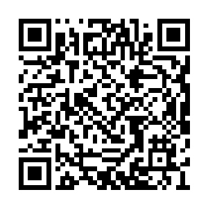 掏出手帕仔仔细细把鸡尾酒杯上沾染的湿意擦掉二维码生成