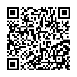 掏出皮夹从里掏出一叠钞票数也不数放在郁慕儿的手中二维码生成